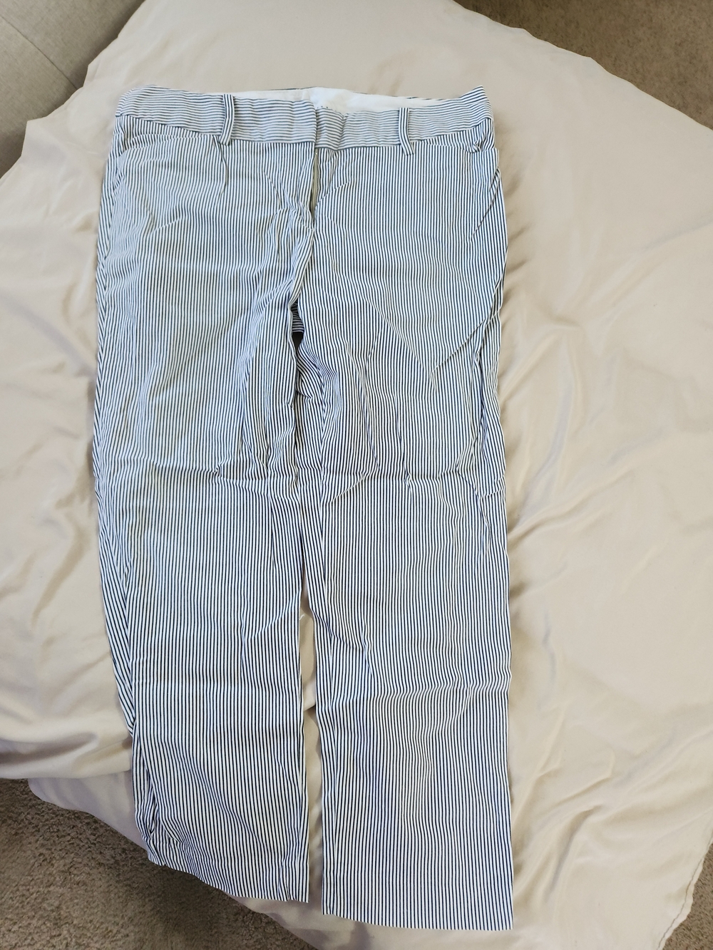 Talbots Blue and White Pinstriped Chinos Hampshire Ankle Pants